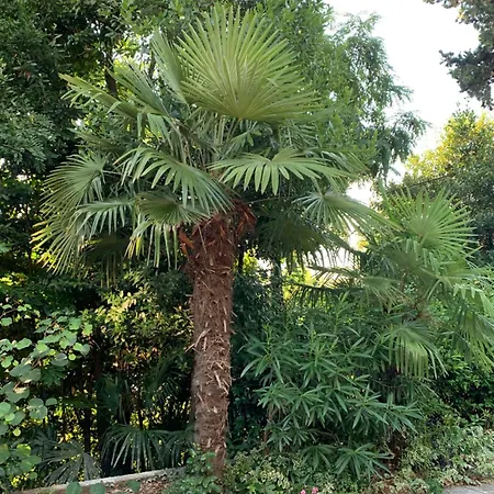Sheltered Oasis In * Οπατία
