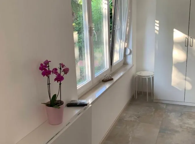 Sheltered Oasis In Apartment