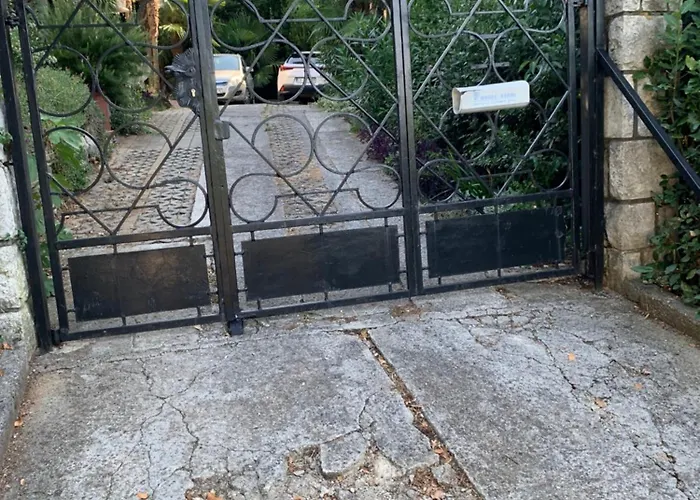 Sheltered Oasis In Apartment