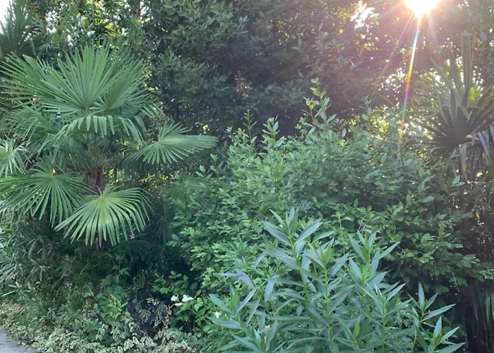 Sheltered Oasis In Opatija