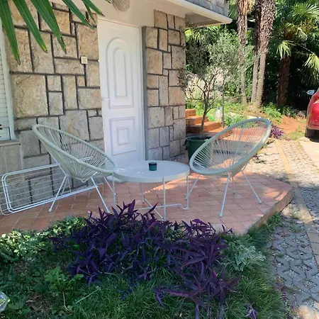 Sheltered Oasis In 公寓