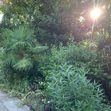 Sheltered Oasis In 奥帕提亚